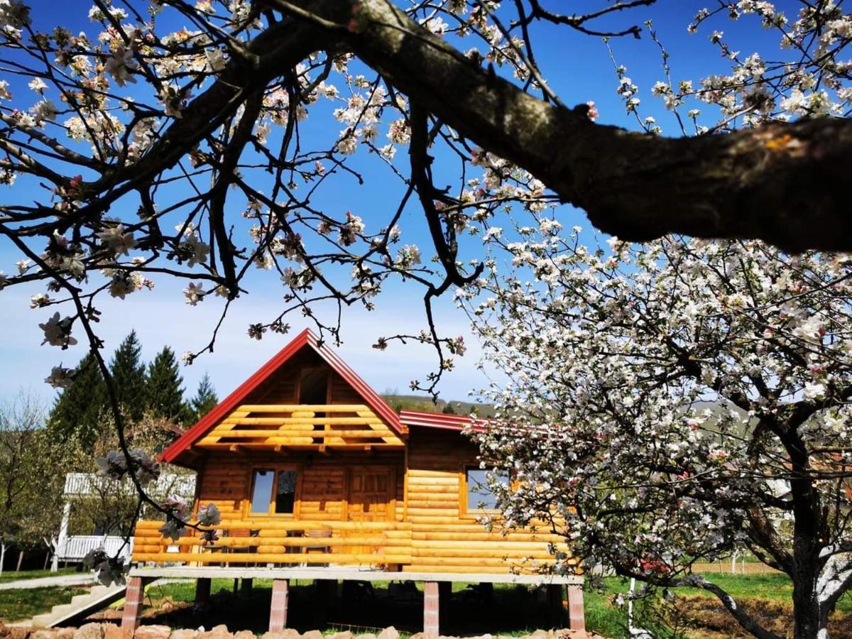 Wooden House "Una" Kulen Vakuf Eksteriør billede